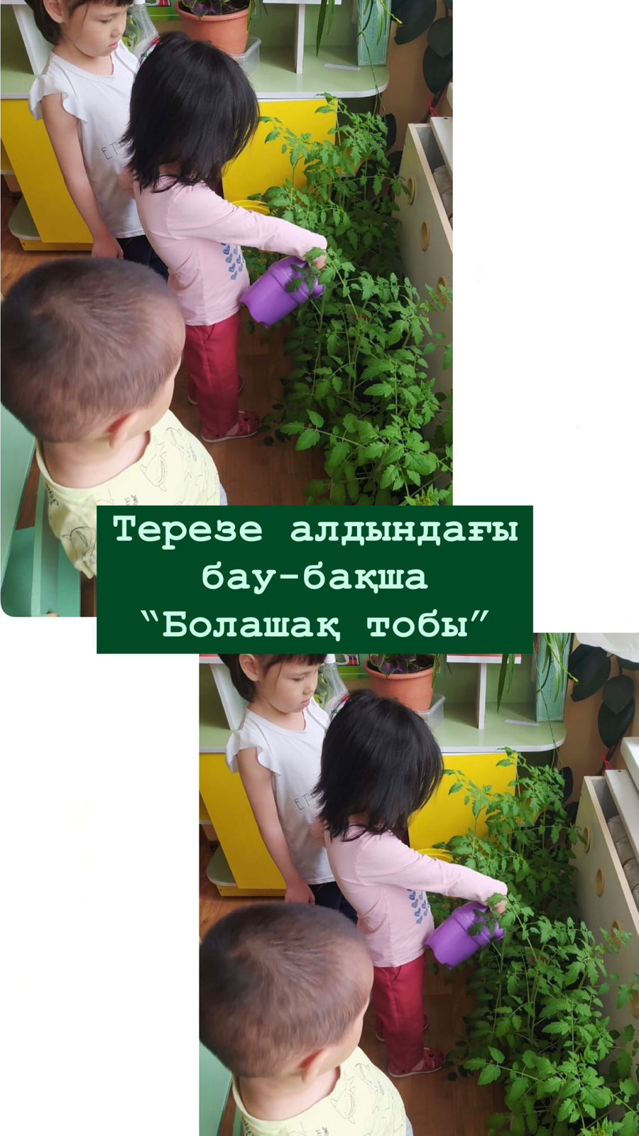 Ортаңғы "Болашақ" тобы.